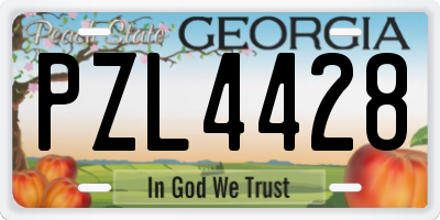 GA license plate PZL4428
