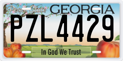 GA license plate PZL4429