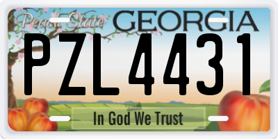 GA license plate PZL4431