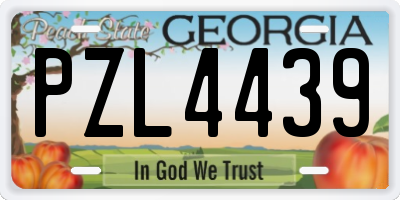 GA license plate PZL4439