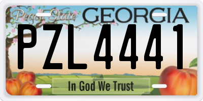 GA license plate PZL4441