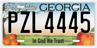 GA license plate PZL4445