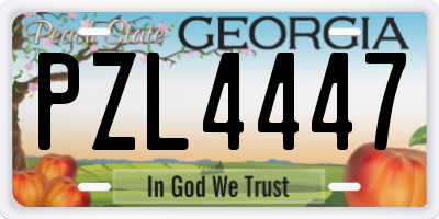 GA license plate PZL4447