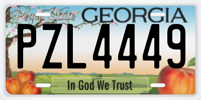 GA license plate PZL4449