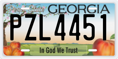 GA license plate PZL4451