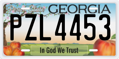 GA license plate PZL4453