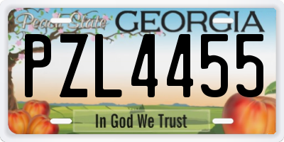 GA license plate PZL4455
