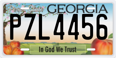 GA license plate PZL4456