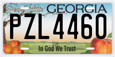 GA license plate PZL4460