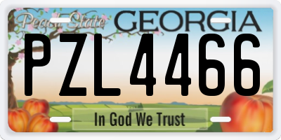 GA license plate PZL4466