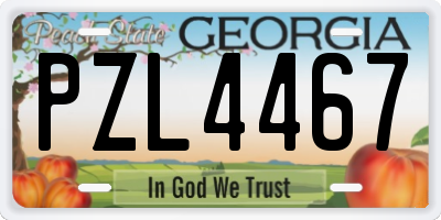 GA license plate PZL4467
