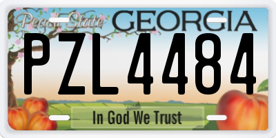 GA license plate PZL4484
