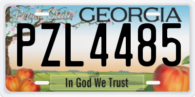 GA license plate PZL4485