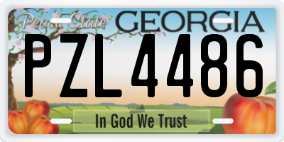 GA license plate PZL4486