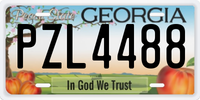 GA license plate PZL4488