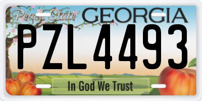 GA license plate PZL4493