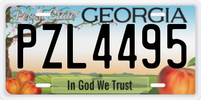 GA license plate PZL4495