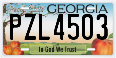 GA license plate PZL4503