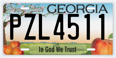 GA license plate PZL4511
