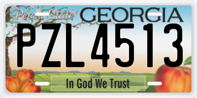 GA license plate PZL4513