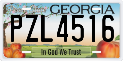 GA license plate PZL4516
