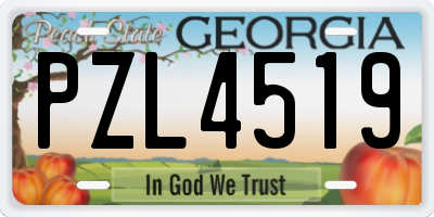 GA license plate PZL4519