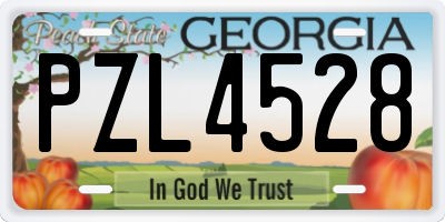 GA license plate PZL4528