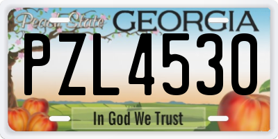 GA license plate PZL4530