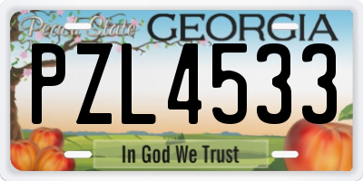 GA license plate PZL4533
