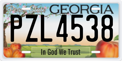 GA license plate PZL4538