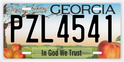 GA license plate PZL4541