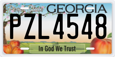 GA license plate PZL4548