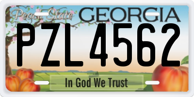 GA license plate PZL4562