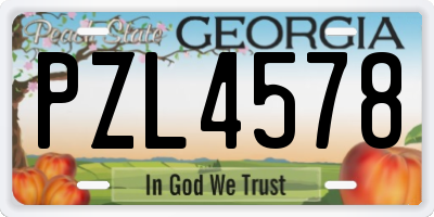 GA license plate PZL4578