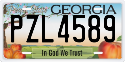 GA license plate PZL4589