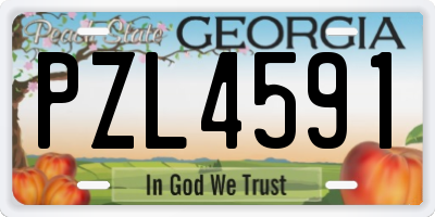GA license plate PZL4591