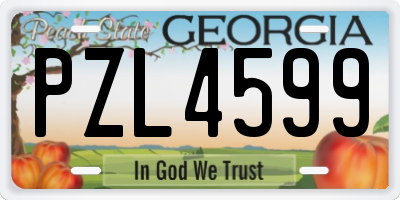 GA license plate PZL4599
