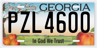GA license plate PZL4600