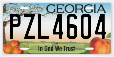 GA license plate PZL4604
