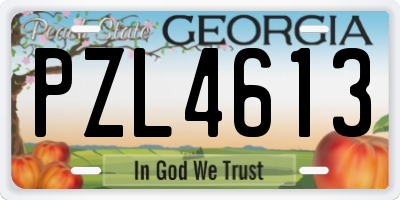 GA license plate PZL4613