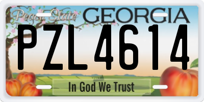 GA license plate PZL4614