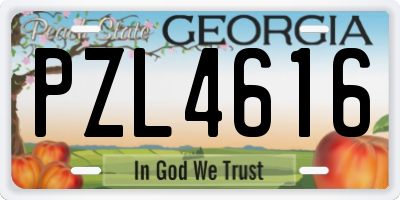 GA license plate PZL4616