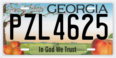 GA license plate PZL4625
