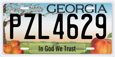 GA license plate PZL4629