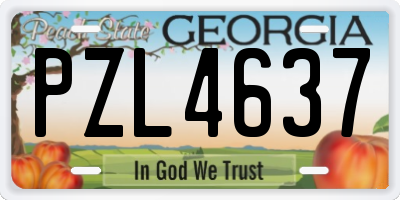GA license plate PZL4637