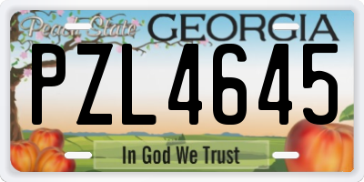 GA license plate PZL4645