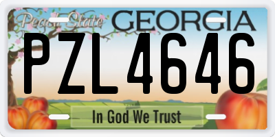 GA license plate PZL4646