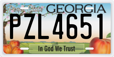 GA license plate PZL4651
