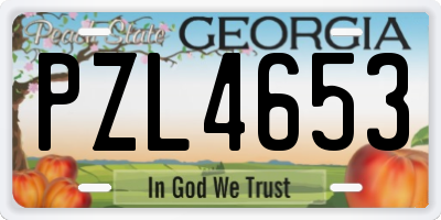 GA license plate PZL4653