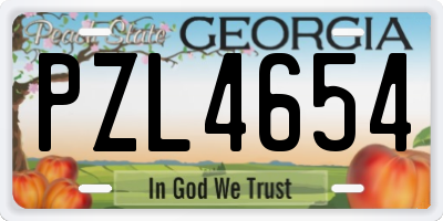 GA license plate PZL4654